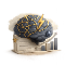 decision quality erosion